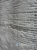 Textured Beige Area Rug, 2 x 3 meters, textured loop and cut pile pattern, beige/ivory colour, decorative tassel fringe - 3