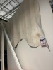 Brazilian Cowhide Rug Model 952, Approximate size 3.15 m&sup2; - 3