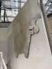 Cowhide Rug Natural Light Beige, approximate size 2 x 2 meters - 2