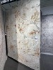 Smarterx Lysandra Botanica 240 Rug 200x290cm