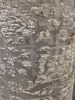 Reika Rug cut-to size. Length unknown. RRP $139/m. 80cm width - 3