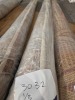 3x 200x290 rugs. unknown specs - 2