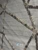 Hilco Global Geometric Pattern Area Rug - 3