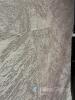 Allyn Rug Collection Cream 200x300cm - 2