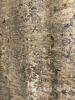 Smartex Allen L0217C Rug 200x290cm - 3
