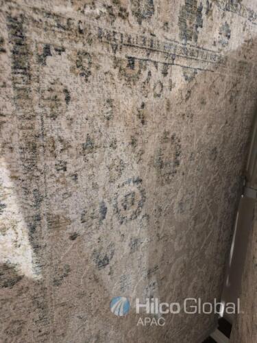 Empera Hypnose N996A-HGK31 Area Rug 120 x 170