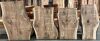 English Oak Live Edge Timber Slab, 2.32m x 627mm x 33mm
