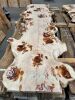 SPECIAL OFFER: 3 Bunya pine table Tops 2.6 - 2.9m x 665 - 820mm x 40mm. Closes 6.10pm - 2
