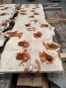 Bunya pine table Top 2.6m x 728mm x 40mm
