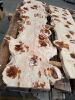 Bunya pine table Top 2.9m x 780mm x 40mm - 2