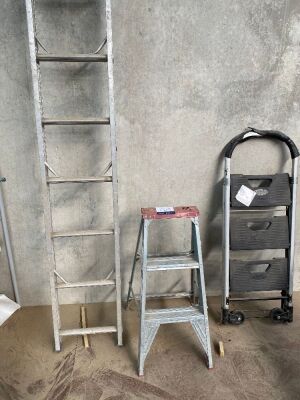 3 x Assorted Ladders