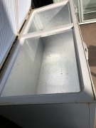 Chest Freezer, 2 Door, Model: EU800 - 4