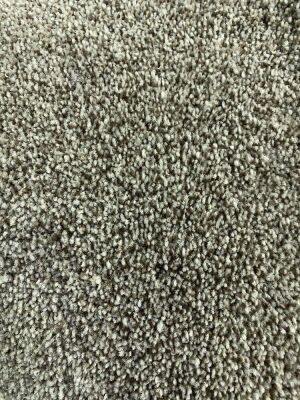Smartstrand chic tonal 978/tradewind carpet - sschictonal978 - 581934440 - 9.5 broadloom metres