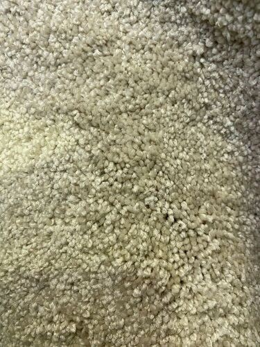 Savannah sands 730/goosedown carpet - savsands730 - 582002128 - 13.7 broadloom metres
