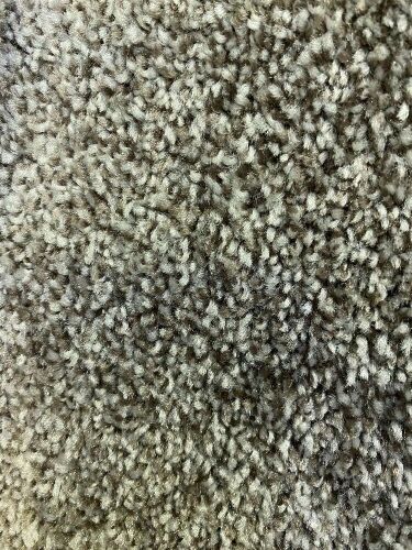 Smartstrand chic tonal 978/tradewind carpet - sschictonal978 - 581934438 - 15.15 broadloom metres