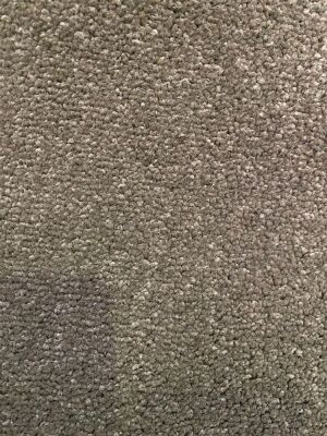 Rushcutter / mocha ash carpet - questnorthelit - 581902919 - 40 broadloom metres