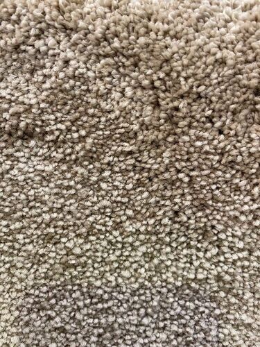 Coastal comfort 530/wheat carpet - coastalcomf530 - 5819274 - 14.2 broadloom metres