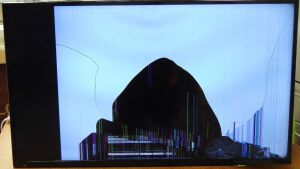 DNL PALSONIC TV cracked screen