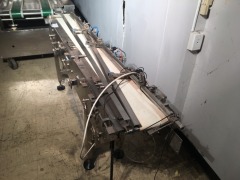 Separation Belt Conveyors, overall 150mm x 180mm - 2