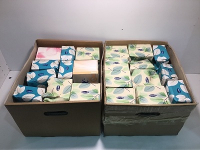 Double Carton of Mixed Tissue Boxes